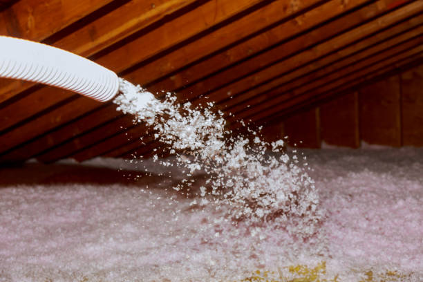 Best Commercial Insulation in Tallahassee, FL