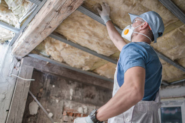 Best DIY Insulation Kits and Guidance in Tallahassee, FL